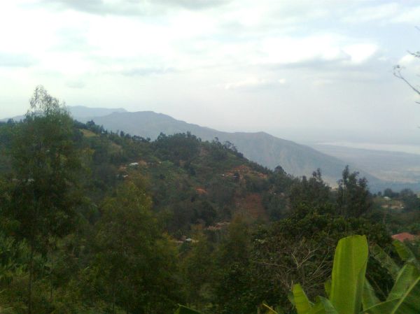 Usangi photo 3
