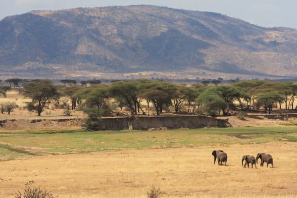 Ruaha River photo 3