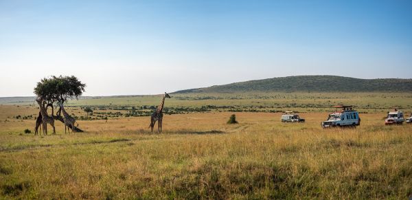 Narok, Arusha