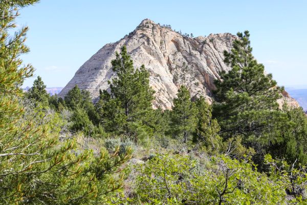Pine Knoll photo 2