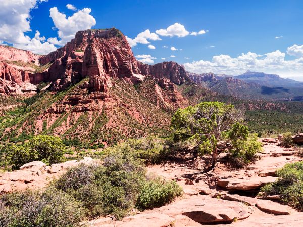 Shuntavi Butte photo 2