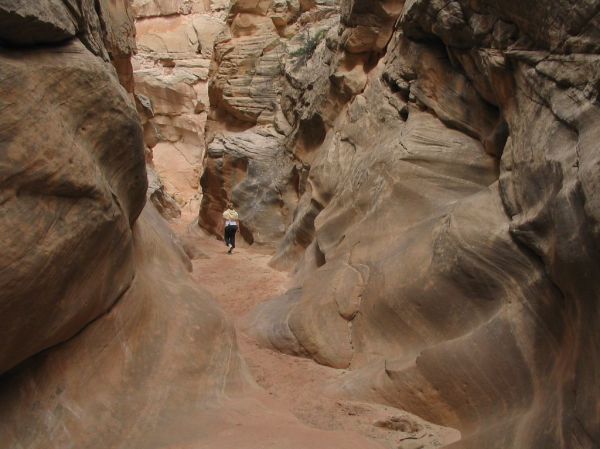 Cottonwood Point, Utah