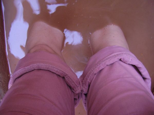 Knobby photo 2