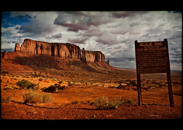 Wildcat Mesa, Utah