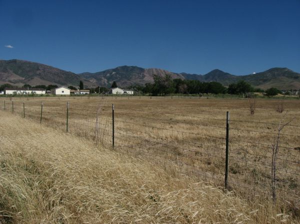 Oak City photo 3