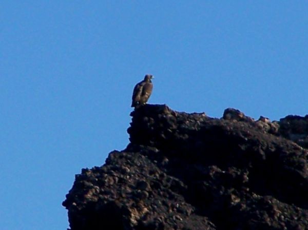 Crater Hill photo 3