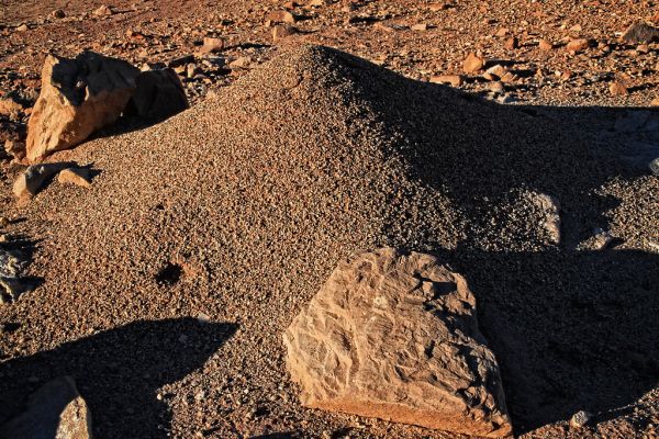 Desert Mound photo 2