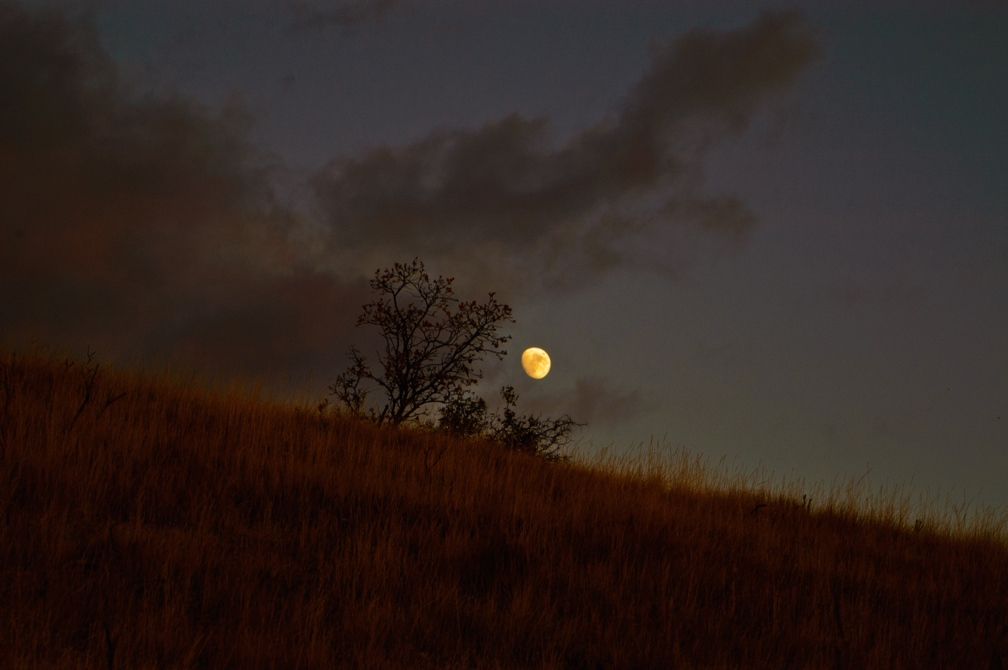 Tanner Mountain photo 2