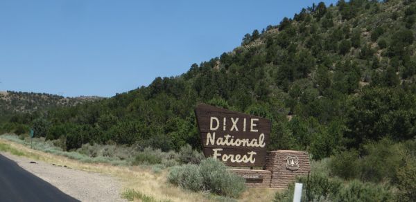 Lower Blue Hills photo 3