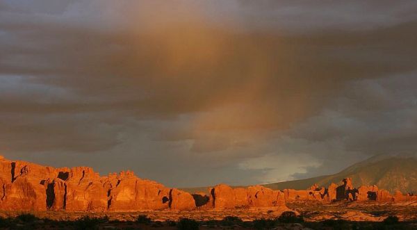 Elephant Butte photo 3