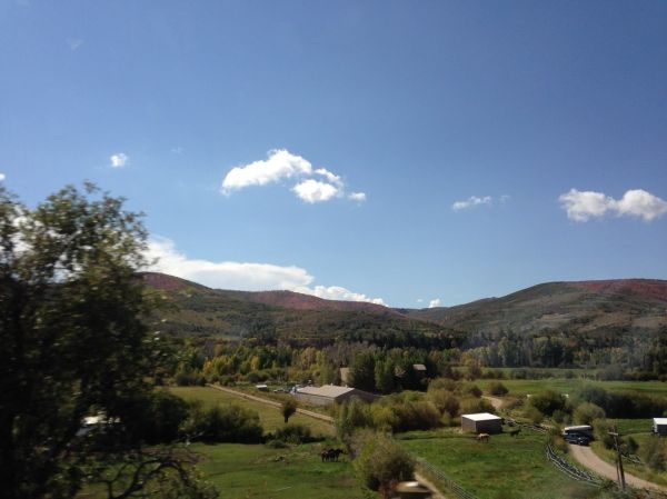 Kamas photo 2
