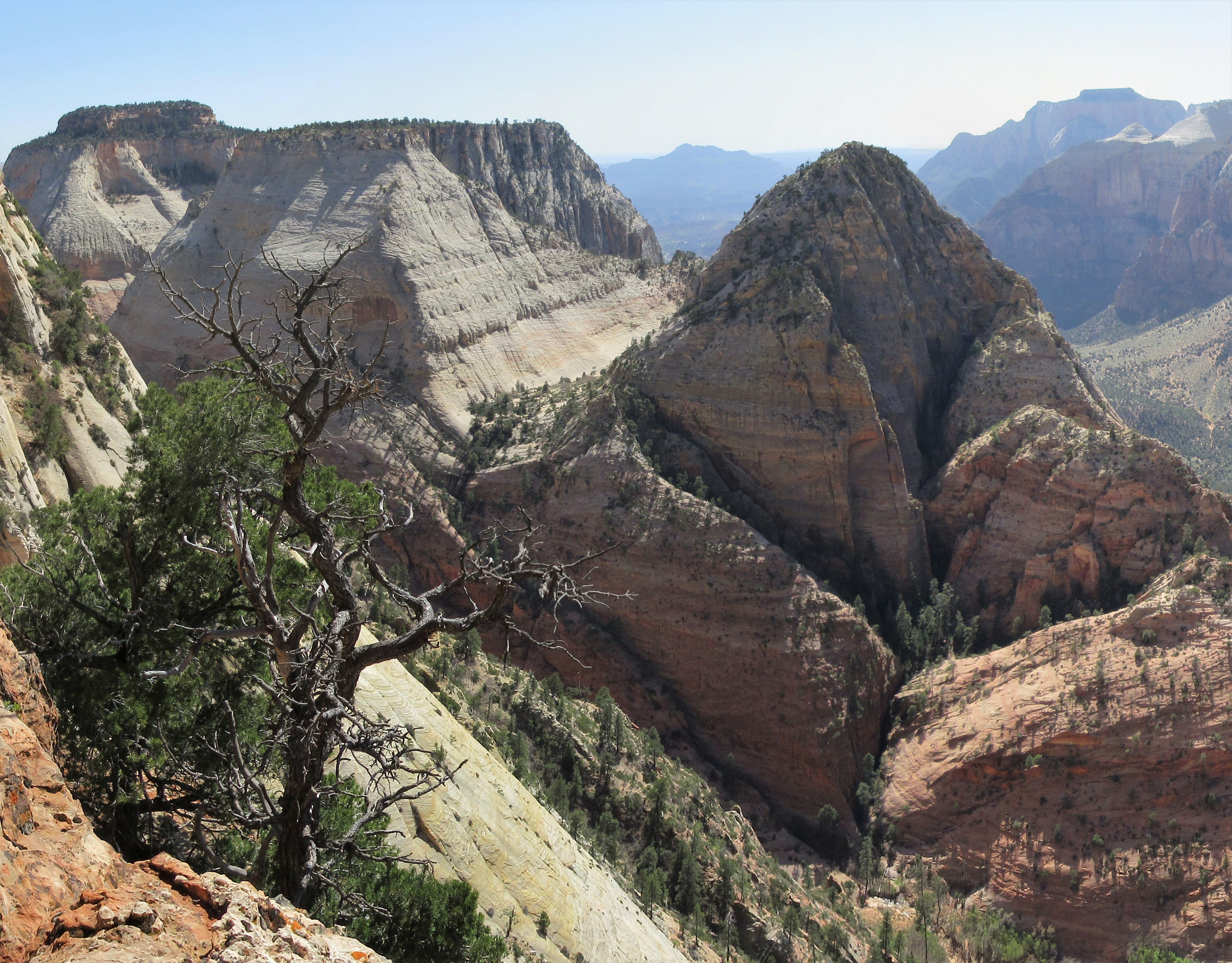 Deertrap Mountain photo 2