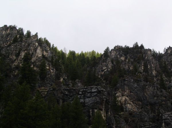 Garden City photo 3