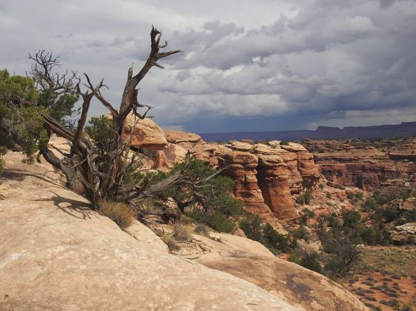 Page Point photo 3