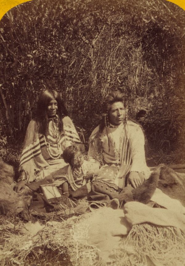 The Buckskin photo 3