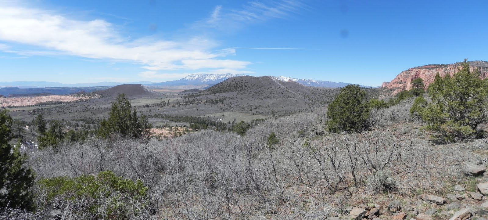Pine Knoll photo 3