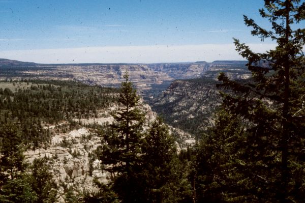 Cherry Mesa photo 2