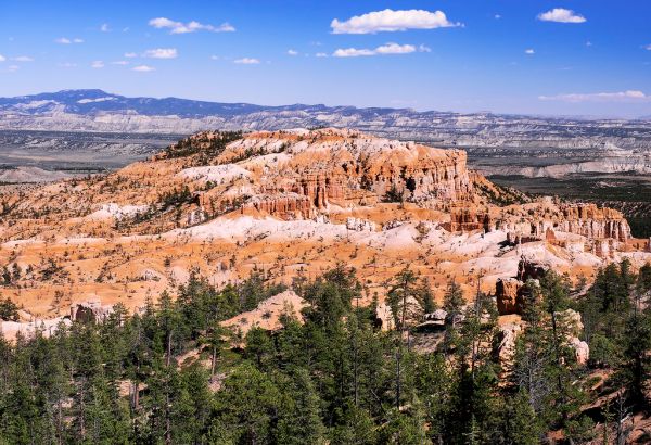 Bristlecone Point photo 3