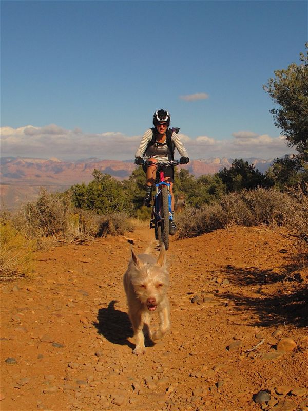 Gooseberry Mesa photo 3