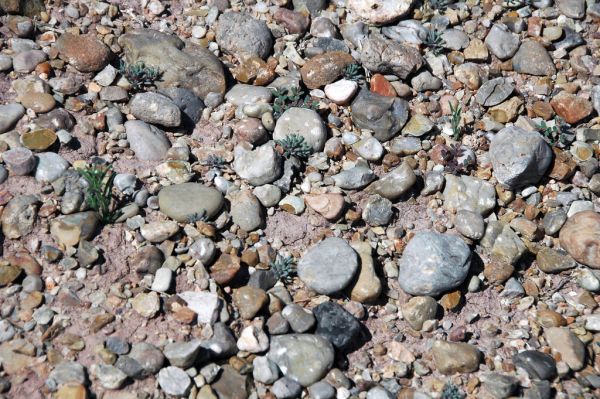 Buckhorn Mountain photo 2