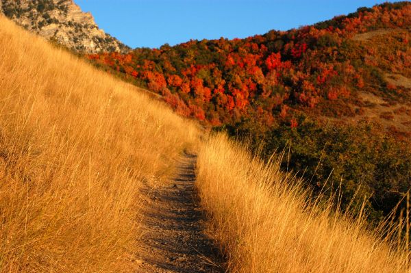 Trail Mountain, Utah