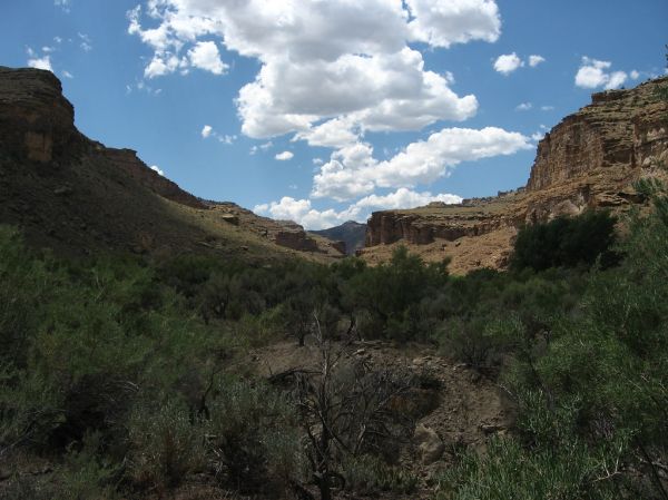 Pinnacle Mesa photo 2