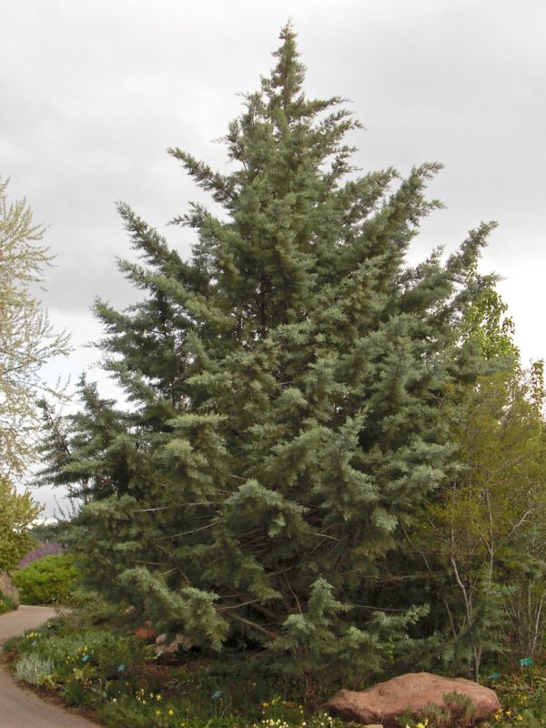 Pyramid Butte photo 2