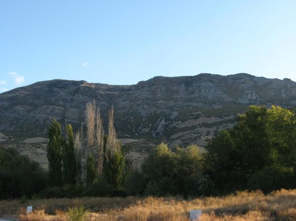 Pleasant Grove photo 3