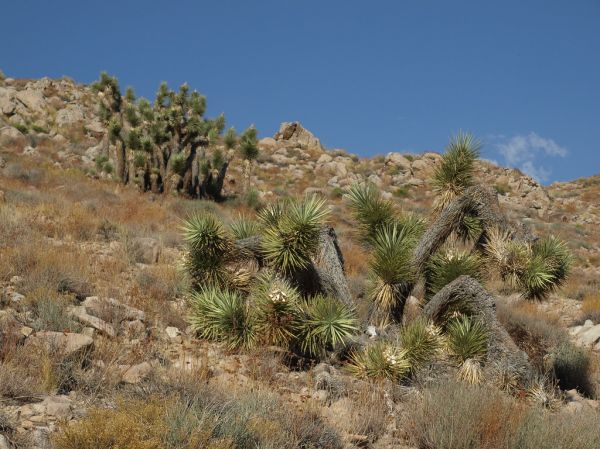 Picture Rock Hills photo 3
