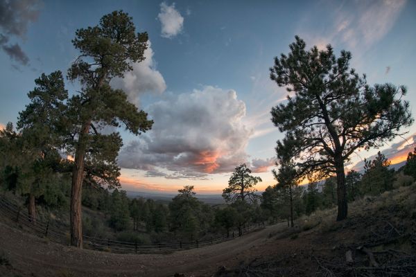 Spring Mountain, Utah