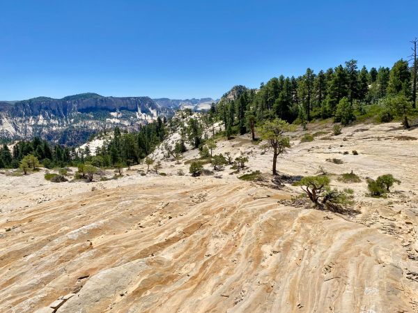 Wildcat Mesa photo 3