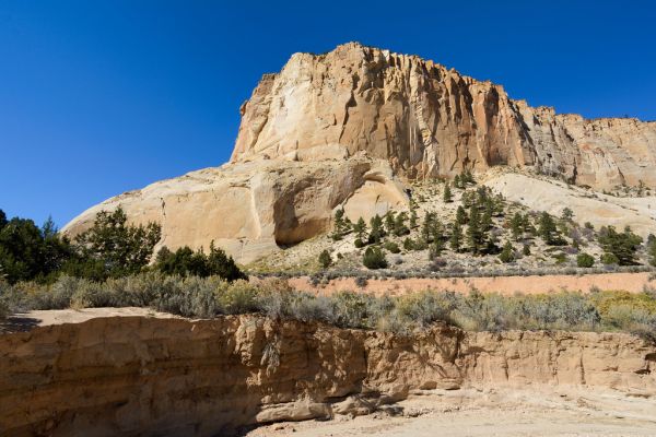 Calf Mesa, Utah