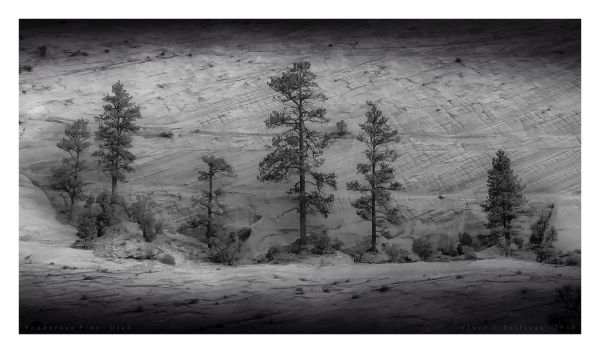 The Pines, Utah
