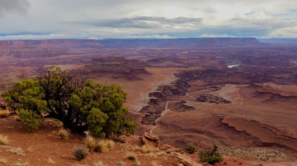 Needle Point Mountain photo 2