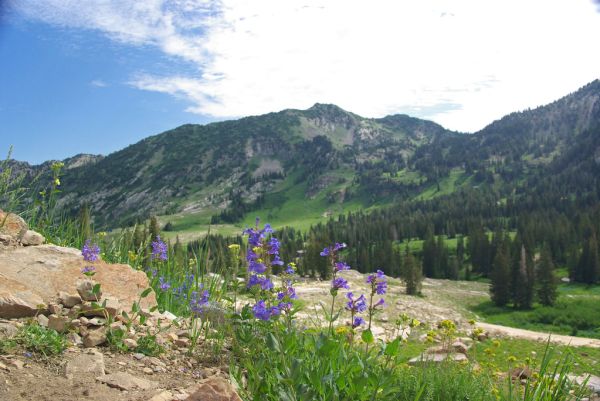 Alta photo 2