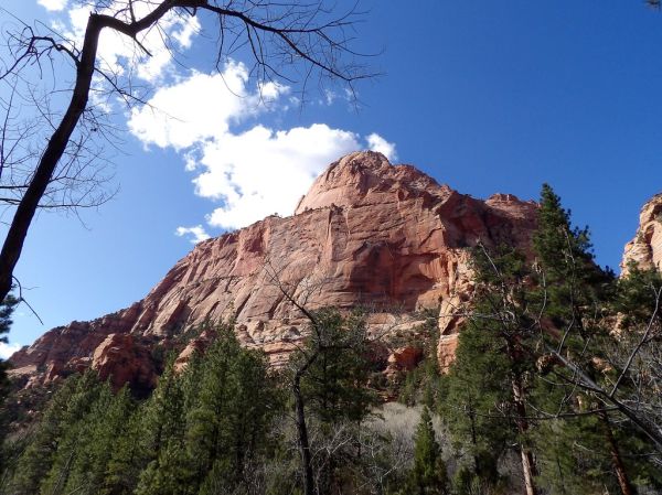 Gregory Butte photo 3