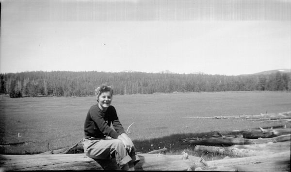 Meadow photo 2