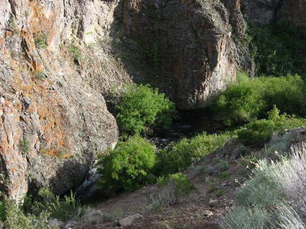 Panguitch photo 2