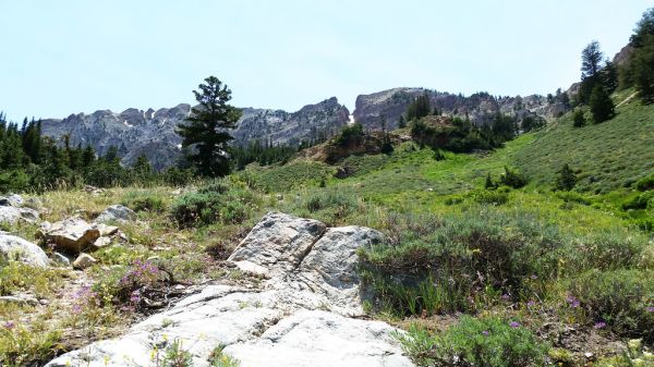 Dry Willow Peak, Utah