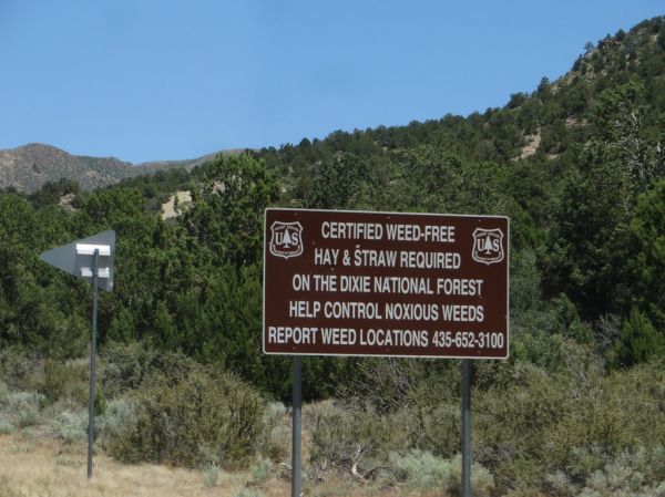 Enterprise, Utah