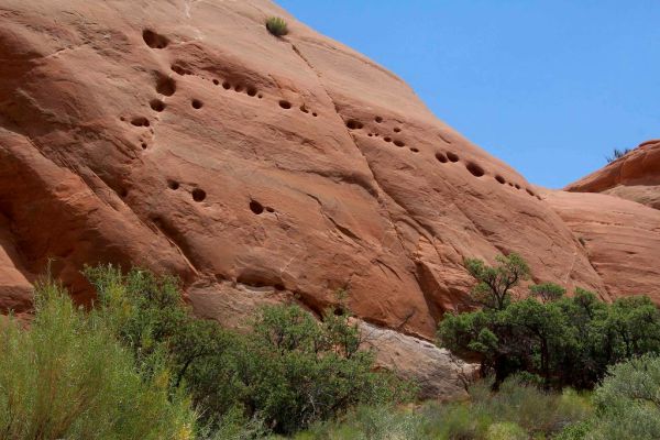 Sooner Rocks photo 3