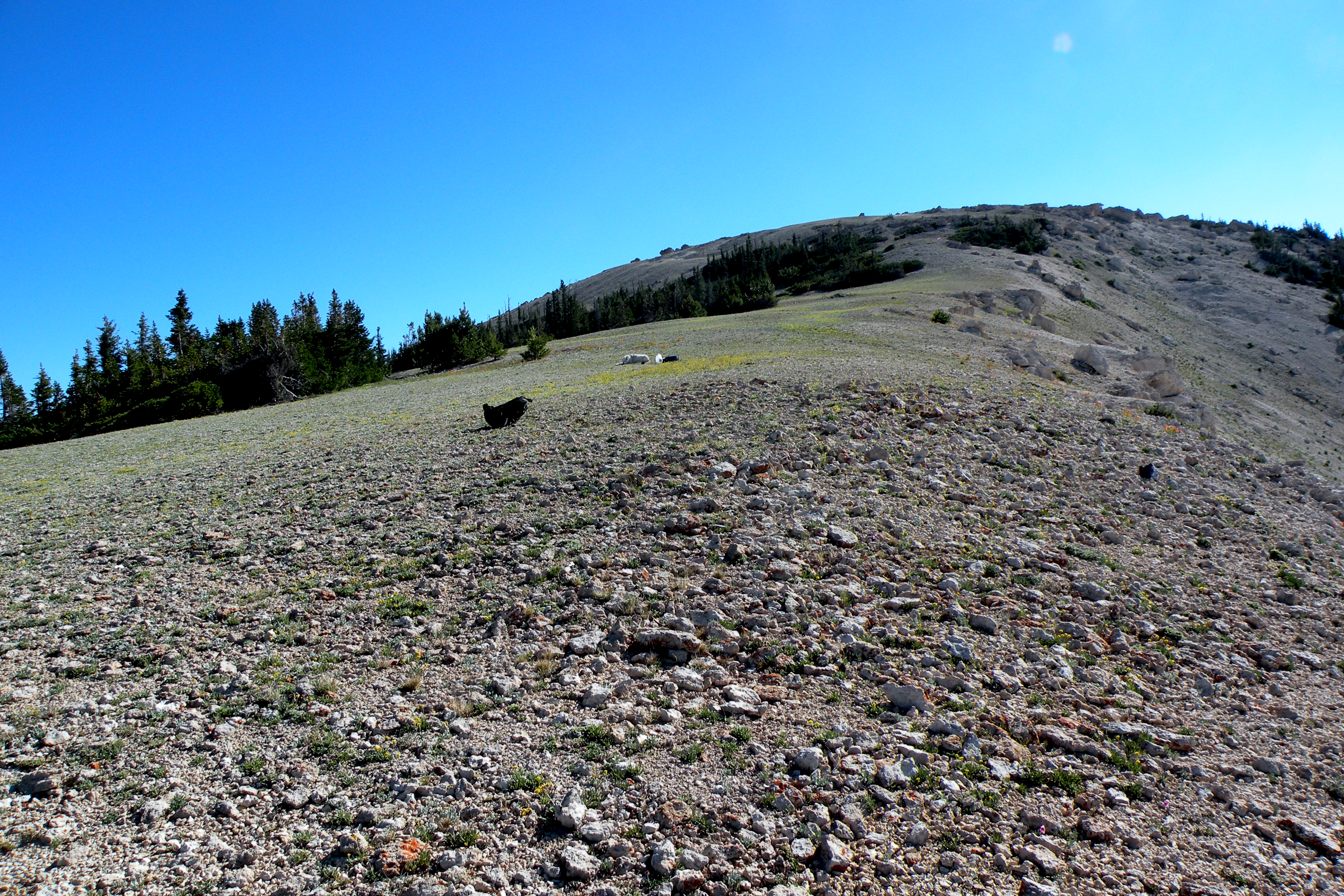 Heliotrope Mountain photo 3
