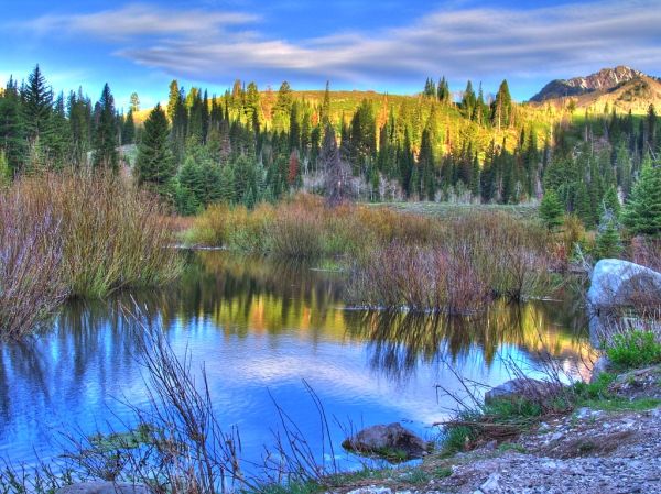 Cottonwood Mountain, Utah