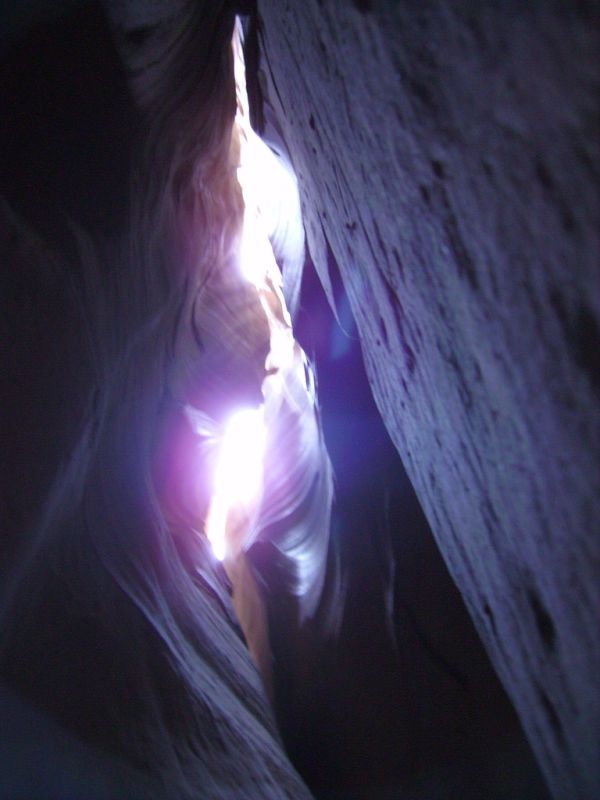 Bull Roost, Utah
