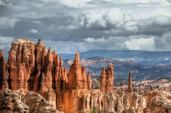 Bristlecone Point photo 2