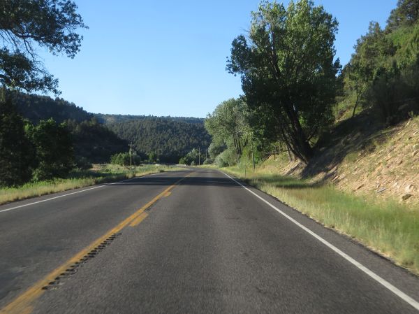 Glendale photo 3