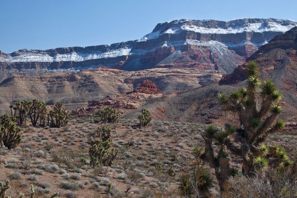 Mule Peak photo 3