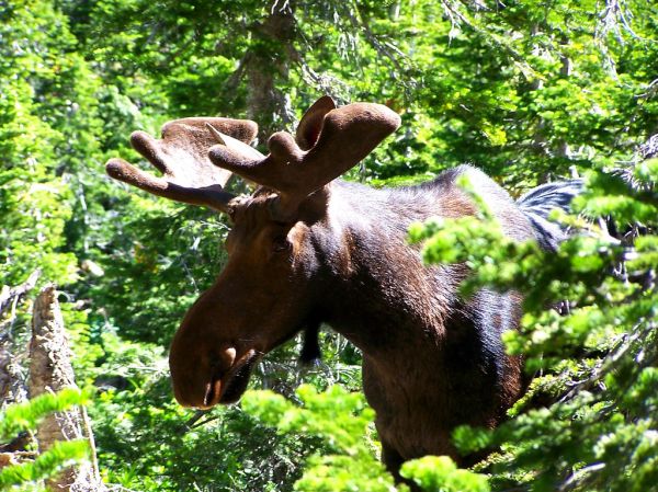 Bull Points photo 2