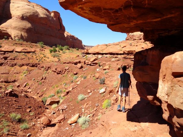Rock Door Mesa photo 3