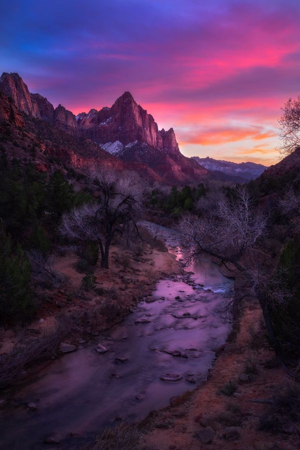 The Watchman photo 2